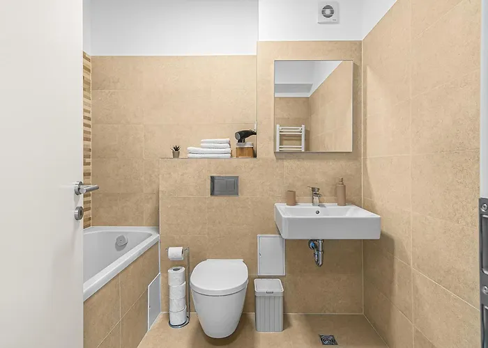 Apartment Valentin Brasov